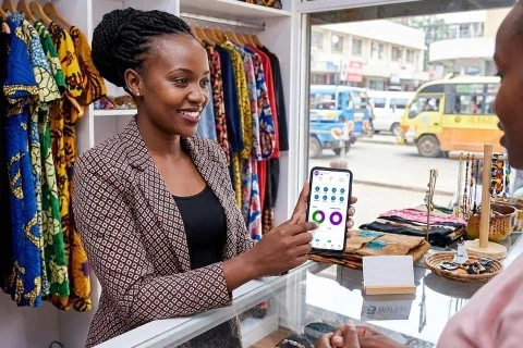 Beyond Profit Margins: Using BizFlux to Understand Customer Lifetime Value (CLV)